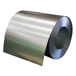 Stainless Steel Strip